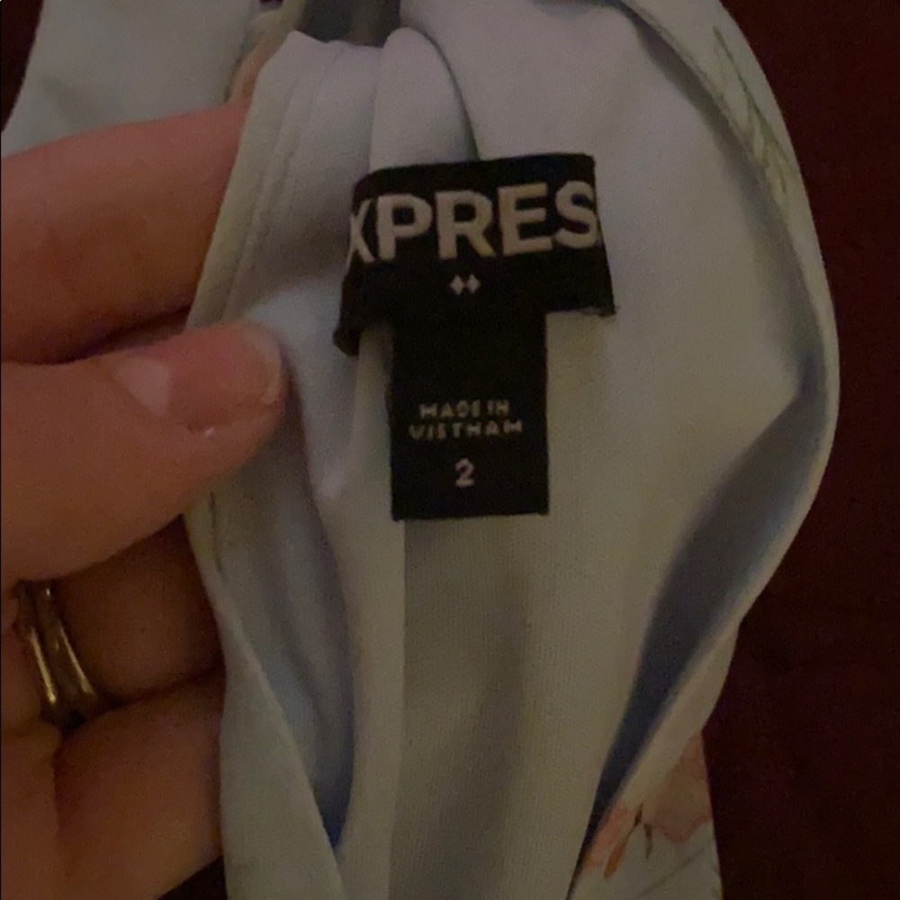Express Dress - Picture 3 of 3